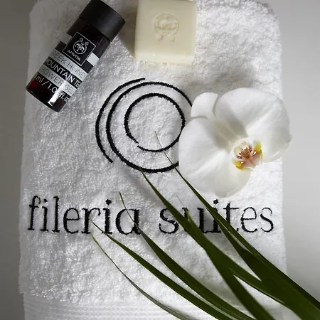 Fileria 4*